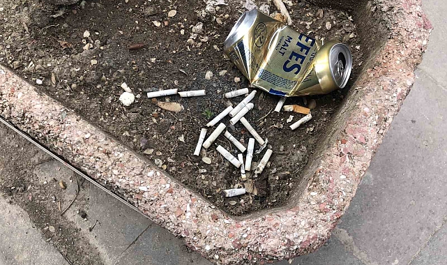 İzmarit Yasağı Sonrası İlginç Görüntüler: Saksılar İzmarit Doldu