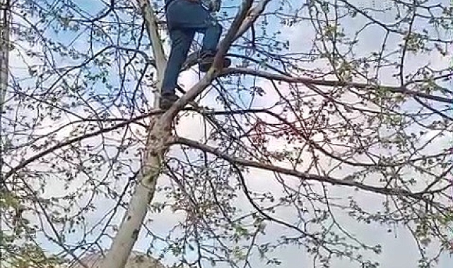 Karabük&#039;te Duyarlı Vatandaş İpe Dolanan Güvercini Kurtardı