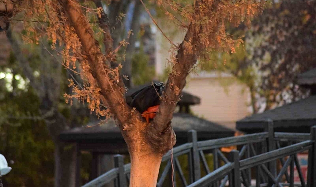 Karaman&#039;da Parkta Şüpheli Çanta Paniği: Fünye ile Patlatıldı, İçinden Para Çıktı
