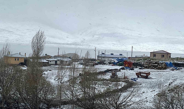 Kars&#039;ta Bahar ve Kış Aynı Anda Yaşanıyor: Arpaçay&#039;da İlginç Doğa Olayı