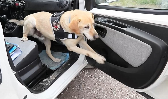 Kayseri Polisi Film Gibi Operasyonla Uyuşturucu Tacirlerini Yakaladı: Kapı Arasına Gizlenmiş Kilolarca Uyuşturucu Ele Geçirildi