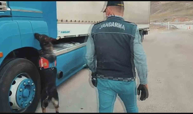 Kayseri&#039;de Jandarmadan Kaçak Sigara Operasyonu: Tütün Tespit Köpeği Başrolde