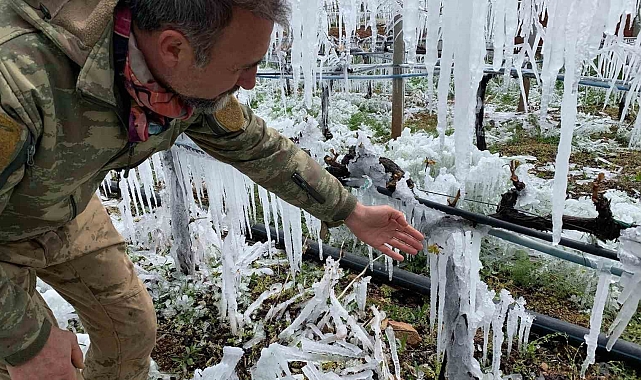 Kırıkkale&#039;de Çiftçiden Zirai Dona Karşı İlginç Yöntem: Üzüm Bağlarını Buzla Kapladı