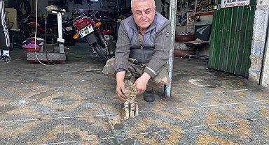 Manisalı Esnaftan Örnek Davranış: Yaralı Sandığı Kedinin Tümörünü Tedavi Ettirip Sahiplendi