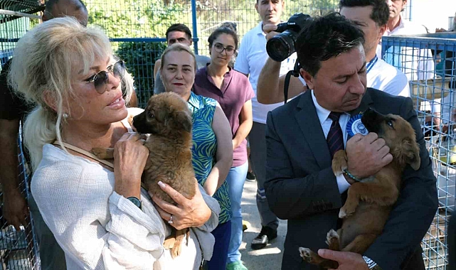 Muğla Büyükşehir&#039;den Can Dostlara Şefkat Eli: Binlerce Hayvan Sahiplendirildi, On Binlercesi Tedavi Edildi