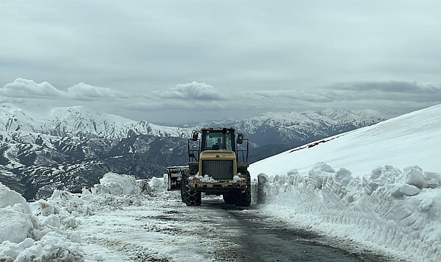 Muş&#039;ta Yoğun Kar Yağışı Ulaşımı Felç Etti: 19 Köy Yolu Kapandı