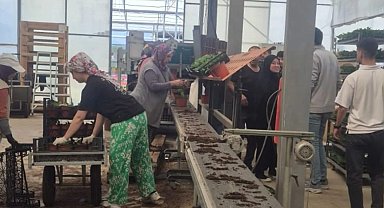 Öğrenciler çiçeklerle sürdürülebilirliği keşfetti