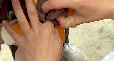 Sakarya'da Duyarlı Vatandaşlar Köpeğin Hayatını Kurtardı