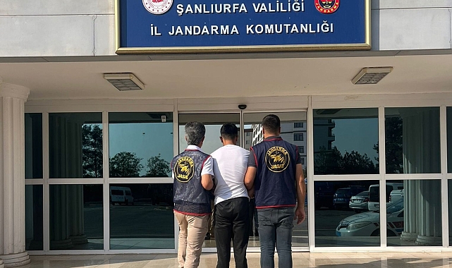 Şanlıurfa&#039;da Jandarmadan Cinayet Zanlılarına Büyük Operasyon: 5 Tutuklama