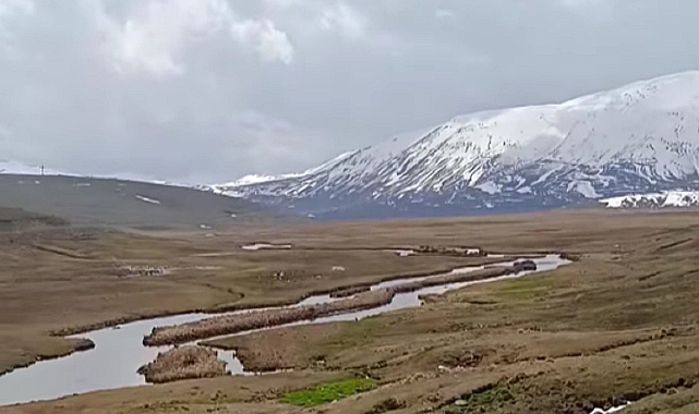 Sinek Yaylası&#039;nda Yeşil Deniz: Doğaseverlere Görsel Şölen Sunuyor