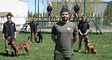 Sınırların gizli kahramanı hassas burun köpekler böyle eğitiliyor