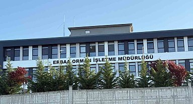 Tokat Erbaa'da Orman İhalelerine Yolsuzluk Operasyonu: 7 Gözaltı