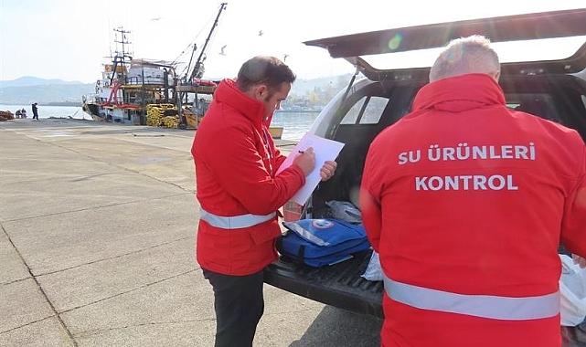 Trabzon&#039;da Balık Sezonu Bilançosu: 16 Ton Hamsiye El Konuldu, Milyonluk Ceza Kesildi