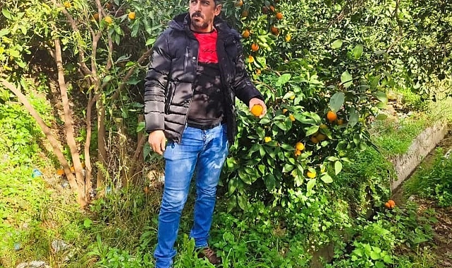 Uşak&#039;ta Şüpheli Ölüm: Kaza Sandılar, Otopsi Cinayeti Ortaya Çıkardı