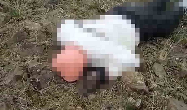 Van&#039;ın Özalp Kırsalında Erkek Cesedi Bulundu