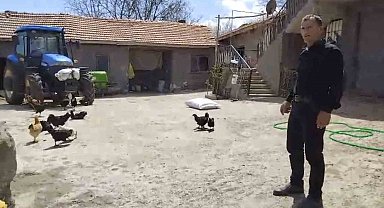 Yozgat'ta Vefa Dersine Aykırı Davranış: Beslenen Tilki Tavukları Yedi