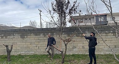 Yüksekova'da Ağaç Budama Çalışmaları Eğitimle Birleşti
