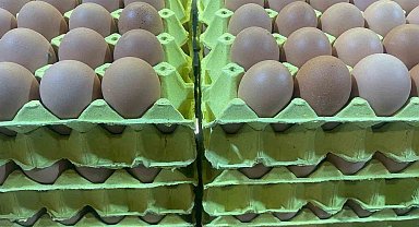 Yumurta Fiyatlarında Düşüş Başladı: Üreticiden 3,5 Lira
