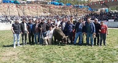Yusufeli Boğa Güreşleri'nde Korkunç An: Boğa Bakıcısını Havaya Fırlattı