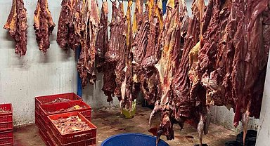 Adana'da 3 Ton Bozulmuş ve Mühürsüz Tek Tırnaklı Hayvan Eti Ele Geçirildi