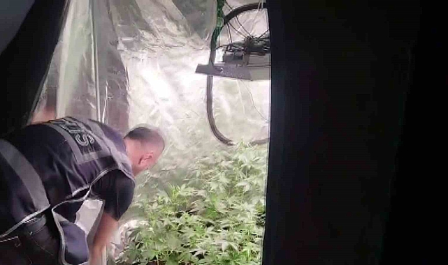 Adana&#039;da Ev Serasında Hint Keneviri Yetiştiren 3 Şüpheli Yakalandı