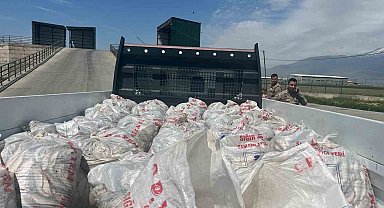 Ağrı'da 2 ton kaçak inci kefali ele geçirildi