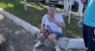 Aksaray'da Hız Sınırını Aşan Tırla Çarpışan Otomobil Sürücüsü Şoka Girdi, Kedisine Su Verdi