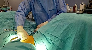 Amniyotik Sıvı Organ Naklinde Yeni Bir Umut Olabilir: Akdeniz Üniversitesi'nden Çığır Açan Araştırma