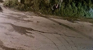 Aydın'da Alacak Kavgasında Silahlı Saldırı Anı Kamerada