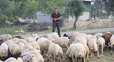 Depremzede vatandaşların memleketlerine dönüşü kurbanlıklara olan rağbeti arttırdı