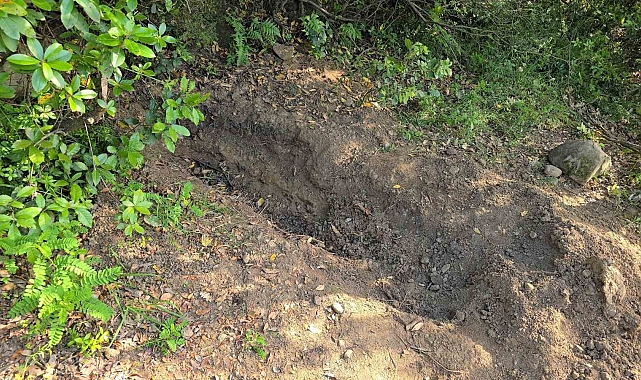 Ereğli&#039;de Kayıp Dinçer Arslan&#039;ın Cesedi Gömülü Halde Bulundu: 3 Şüpheli Tutuklandı