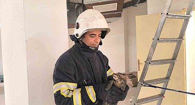 Hatay'da Boruda Mahsur Kalan Yavru Kedi Kurtarıldı