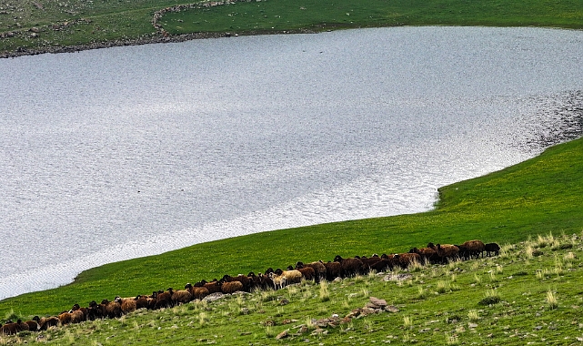 Iğdır'da Mera Islah ve Amenajmanı Projesi Tamamlandı