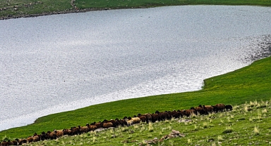 Iğdır'da Mera Islah ve Amenajmanı Projesi Tamamlandı
