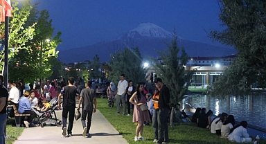 Iğdır'da Sivrisinek ve Böcek İsyanı: Vatandaşlar Rahatsızlıklarını Dile Getirdi