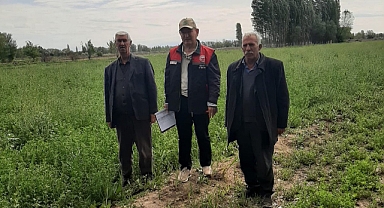 Iğdır'da Yem Bitkisi Üretimi Mercek Altında: Desteklemeler Doğrulanıyor, Üreticilere Rehberlik Ediliyor