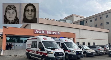 Iğdır'da Yengelerini Vuran Zanlı Sınırda Yakalandı