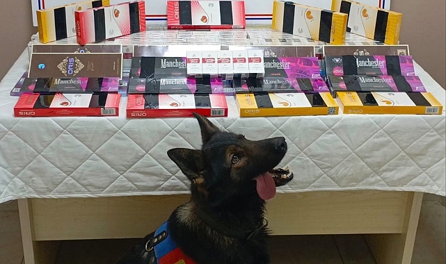 Kayseri&#039;de Jandarmadan Kaçak Sigara Operasyonu