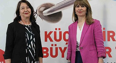 Kene Riskine Karşı Uzmanlardan Hayati Uyarılar: "Alkol veya Yağ Dökmeyin, Yakmayın!"