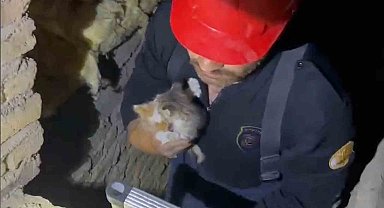 Kırıkkale'de Havalandırma Boşluğuna Düşen Yavru Kediler İtfaiye Kurtardı