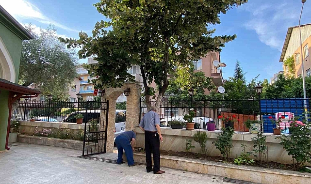 Kocaeli&#039;de Ihlamur Toplarken Korkuluklara Düşen Yaşlı Adam Yaralandı