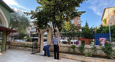 Kocaeli'de Ihlamur Toplarken Korkuluklara Düşen Yaşlı Adam Yaralandı