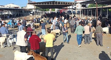 Kurban Bayramı öncesi hayvan pazarı denetlendi