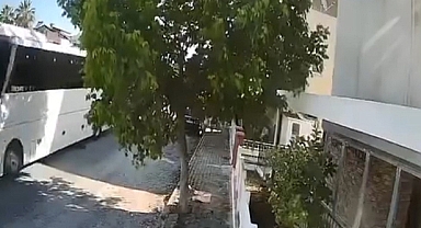 Kuşadası'nda İnfial Yaratan Olay: Otobüs Şoförü Sokak Köpeğini Ezdi