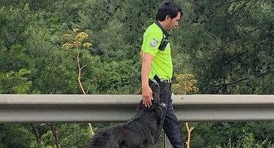 Milas'ta Zincirleme Kaza: Yaralı Bir Kişi, Duyarlı Polisler