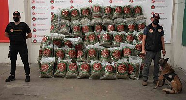 Milyonlarca Liralık Uyuşturucu ve Kaçak Sigara Yakalandı