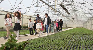 Minik öğrenciler seralarda doğayla buluştu