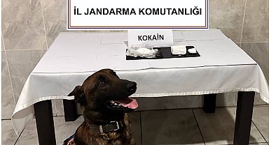 Muğla'da Yolcu Otobüsünde Kokain Operasyonu: 290 Gram Uyuşturucu Ele Geçirildi