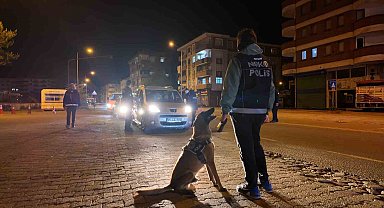Narkotik Köpeği Pars, Artvin'deki Uyuşturucu Operasyonlarının Yıldızı Oldu