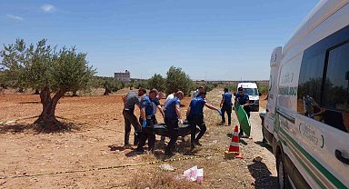 Nizip'te Zeytin Tarlasında Başından Vurulmuş Erkek Cesedi Bulundu